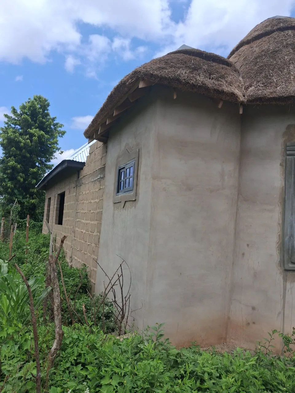 Hut view 1